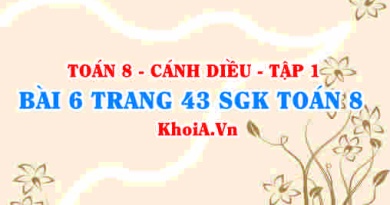 Bài 6 trang 43 SGK Toán 8 tập 1 Cánh Diều